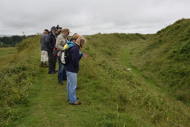 10 07 16_8906.JPG - BADBURY RINGS HILL FORT, DORSET - 10.7.16